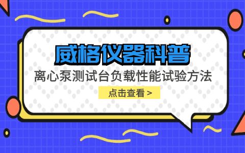 威格儀器-離心泵測試臺(tái)負(fù)載性能試驗(yàn)方法插圖